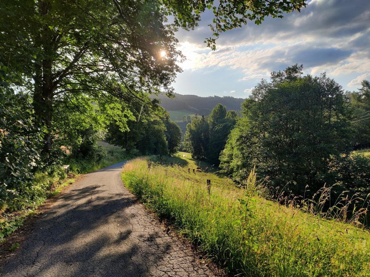Elpe Apartments Hochsauerland Экстерьер фото