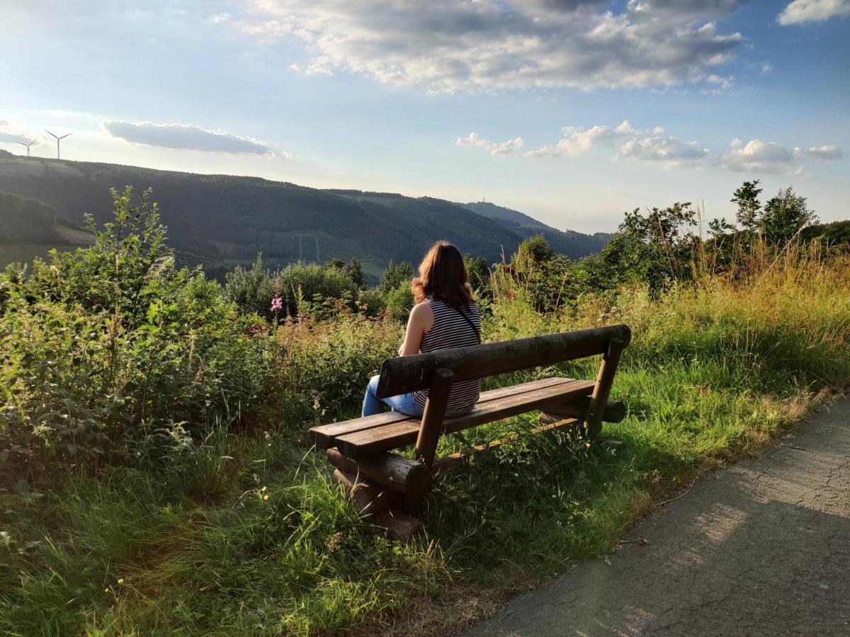 Elpe Apartments Hochsauerland Экстерьер фото